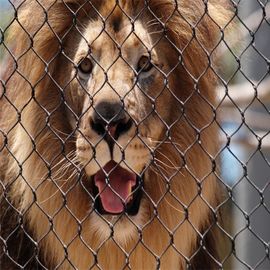 Stainless Steel 304 Anti Menggigit Kebun Binatang Wire Mesh Untuk Hewan Singa Pelindung Pagar Mesh