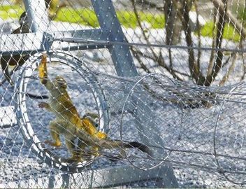 316 Ferrule Jenis Kawat Kabel Tali Stainless Steel Zoo Mesh Untuk Jaring Burung Aviary